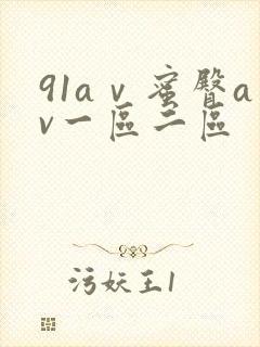 91aⅴ蜜臀av一区二区