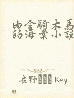 内含骑木马情节的海棠小说双男主