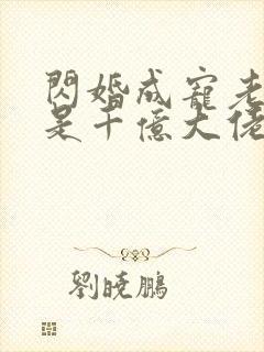 闪婚成宠老公竟是千亿大佬