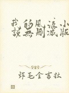 我的风流小姨小说无删减版