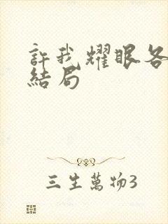 许我耀眼各人物结局