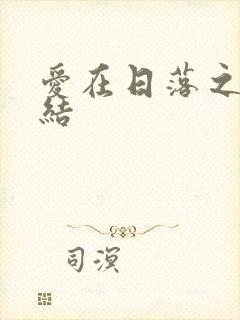 爱在日落之前完结