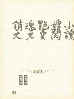 销魂艳婢小说全文免费阅读