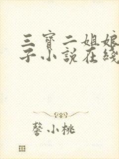 三宝二姐娘驴娃子小说在线阅读