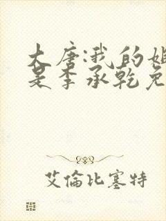 大唐:我的姐夫是李承乾免费txt下载