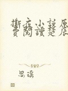 撕夜小说原著免费阅读楚辰安