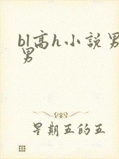 bl高h小说男男封面