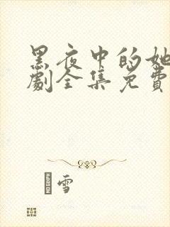 黑夜中的她电视剧全集免费观看