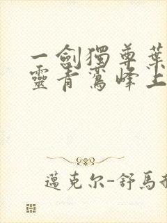 一剑独尊叶玄叶灵青鸾峰上