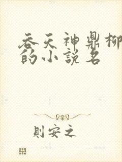 吞天神鼎柳无邪的小说名封面