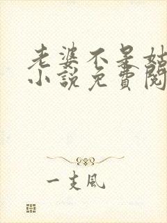 老婆不是姑娘吗小说免费阅读