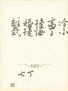 离婚后高冷女总裁后悔了小说笔趣