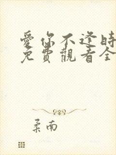 爱你不逢时短剧免费观看全集