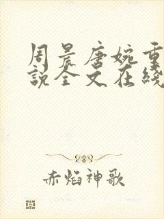 周晨唐婉重生小说全文在线阅读