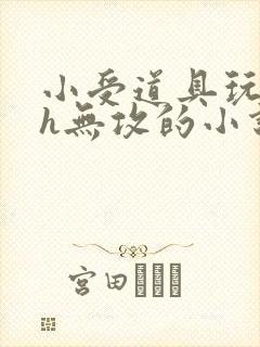 小受道具玩自己h无攻的小说封面