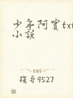 少年阿宾txt小说