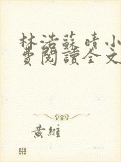 林浩苏晴小说免费阅读全文最新章节