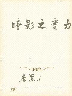 暗影之实力者封面