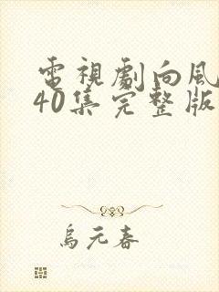 电视剧向风而行40集完整版在线观看