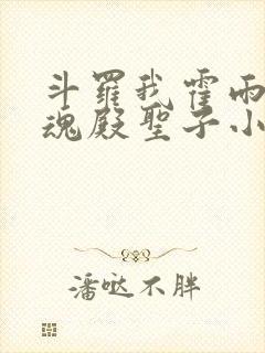 斗罗我霍雨浩武魂殿圣子小说免费阅读