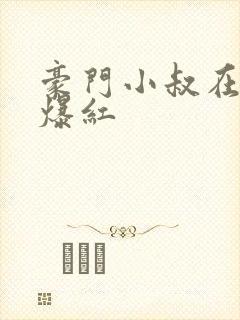 豪门小叔在娃综爆红