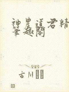 神农道君精校版笔趣阁