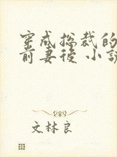 穿成总裁的炮灰前妻后 小说