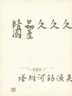 精品久久久久久国产