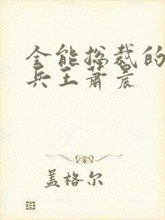 全能总裁的全能兵王萧晨