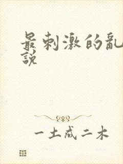最刺激的乱惀小说封面