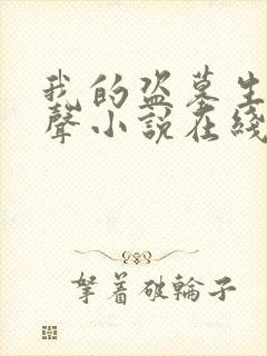 我的盗墓生涯有声小说在线收听