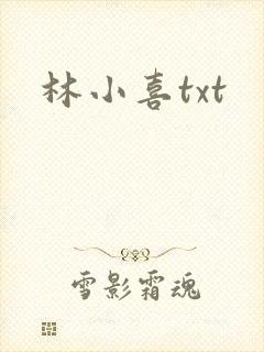 林小喜txt