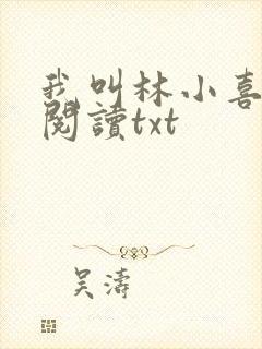 我叫林小喜免费阅读txt