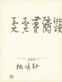 王正君陈琳洁全文免费阅读最新章节