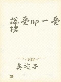 总受np一受多攻