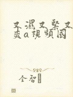 又湿又紧又大又爽a视频国