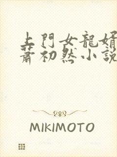 上门女龙婿叶辰萧初然小说