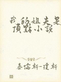 我的姐夫是太子 顶点小说封面