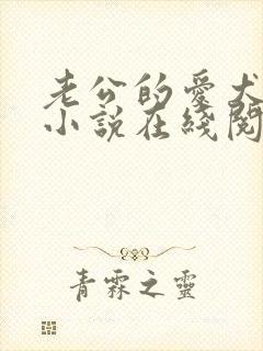 老公的爱犬阿克小说在线阅读免费