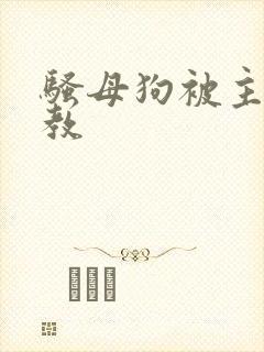 骚母狗被主人调教