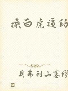 操白虎逼的视频