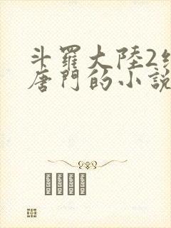 斗罗大陆2绝世唐门的小说