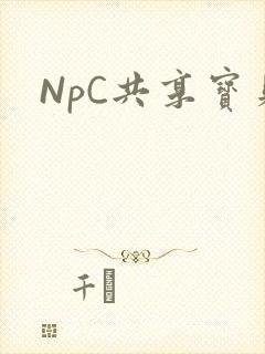 NpC共享宝贝