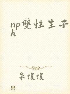 np双性生子高h封面