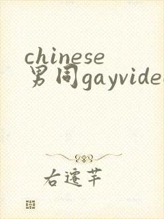 chinese男同gayvideos