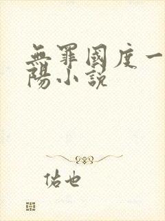 无罪国度一路向阳小说