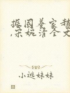 振国养家赵振国,宋婉清全文阅读