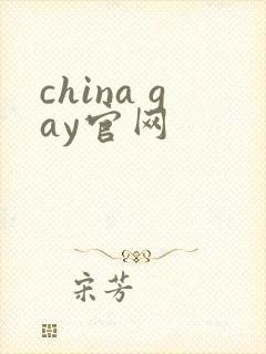 china gay官网