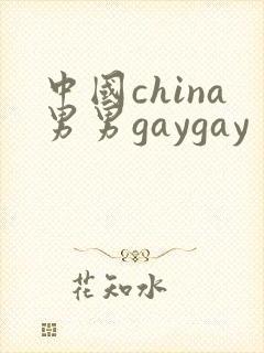 中国china男男gaygay