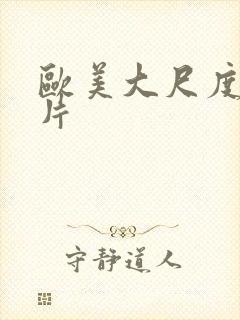 欧美大尺度一级片